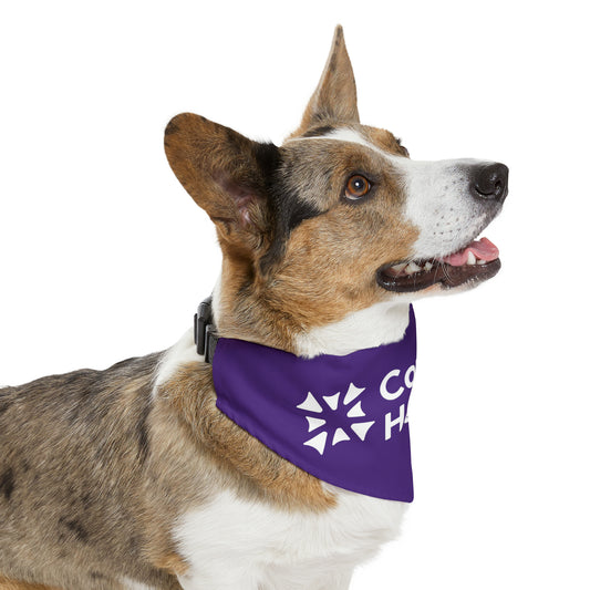 Pet Bandana Collar